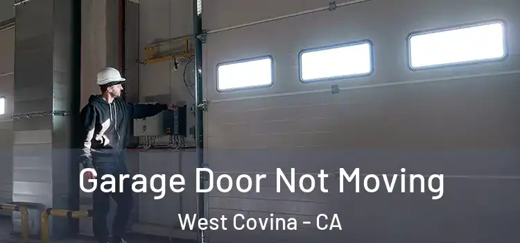  Garage Door Not Moving West Covina - CA