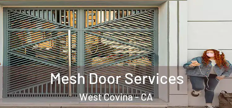  Mesh Door Services West Covina - CA